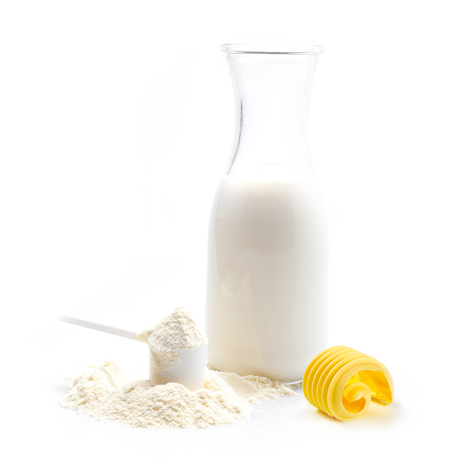 Dairy ingredients for industry
